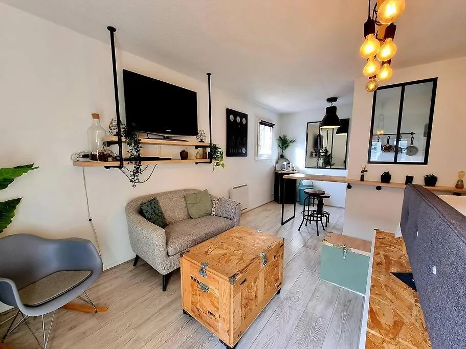 Apartment Studio Cosy Atypique - Toulouse